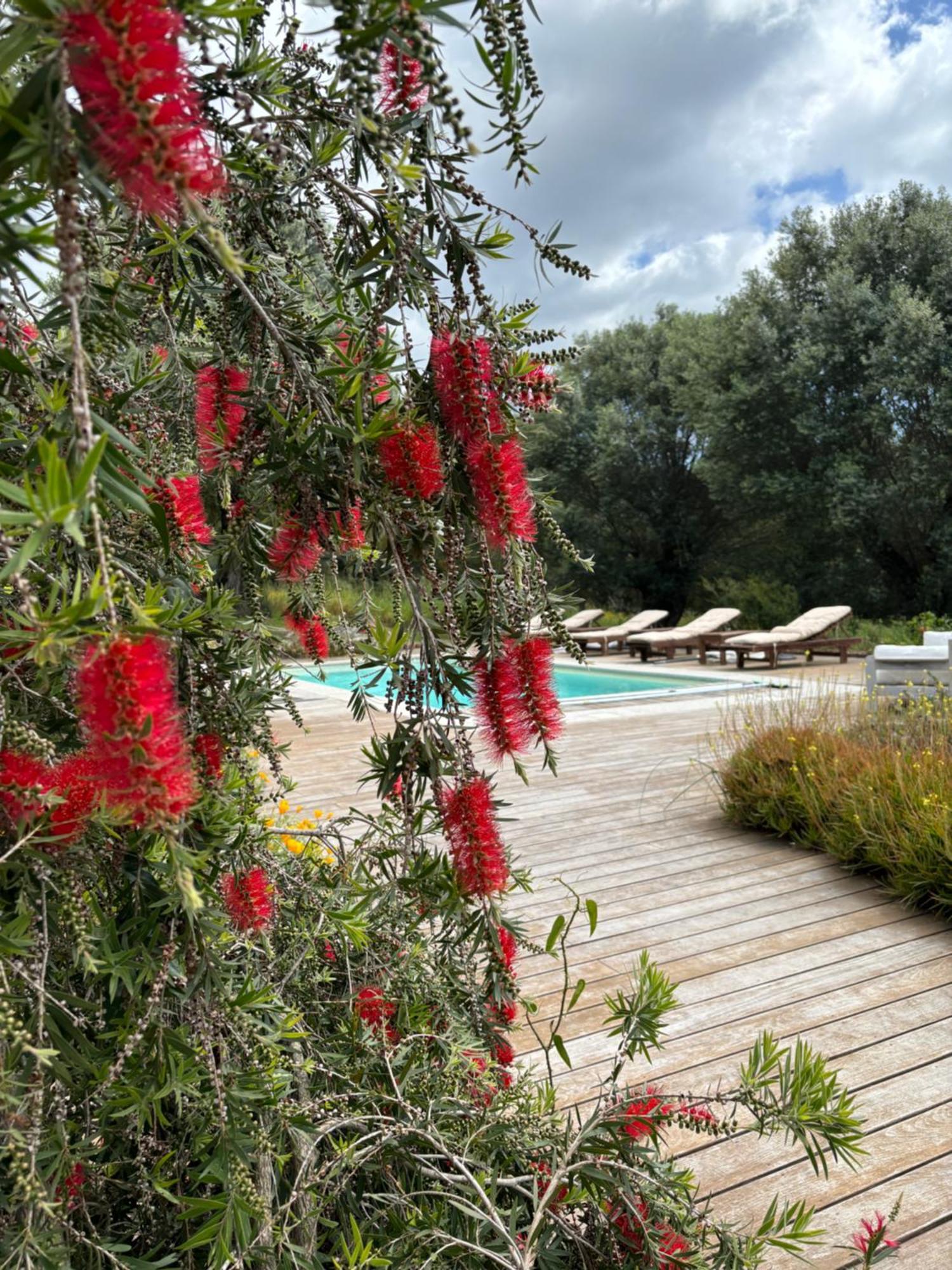 Villa Domaine De Tappa - Casa Filicina Sollacaro Exterior foto
