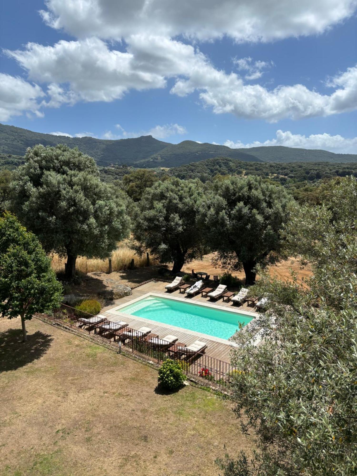 Villa Domaine De Tappa - Casa Filicina Sollacaro Exterior foto